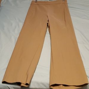 Plus size ankle pants